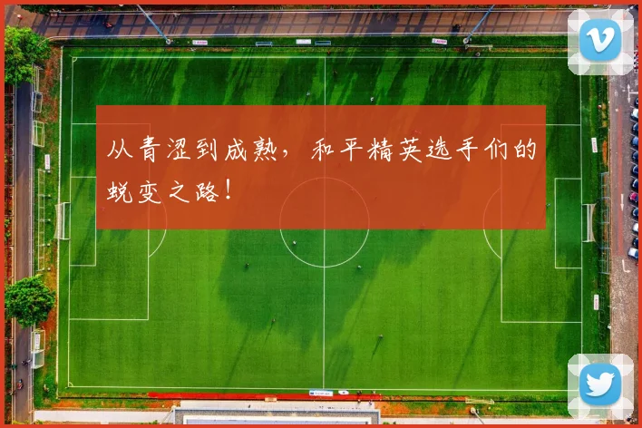 从青涩到成熟,和平精英选手们的蜕变之路!