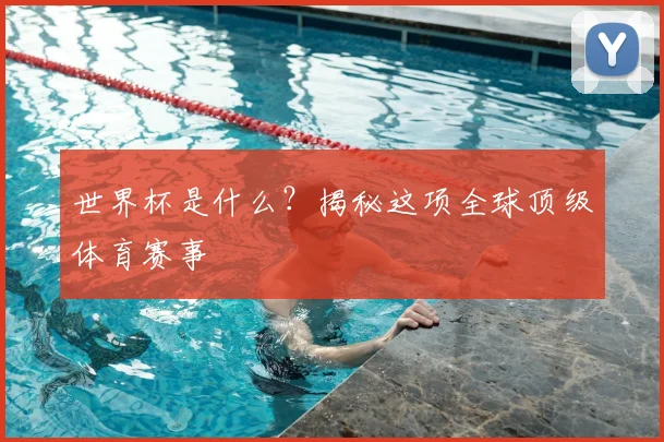 世界杯是什么？揭秘这项全球顶级体育赛事