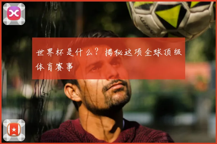 世界杯是什么？揭秘这项全球顶级体育赛事
